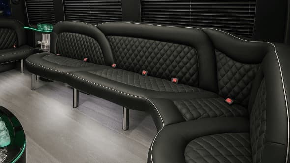 18-Passenger Party Bus