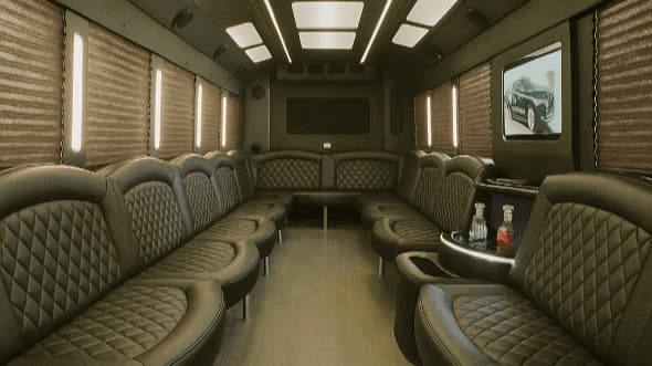20-Passenger Party Bus