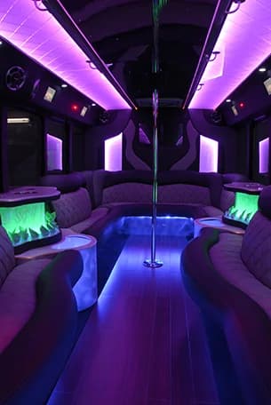 White 6-Passenger Luxury SUV