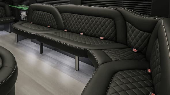 18-Passenger Party Bus
