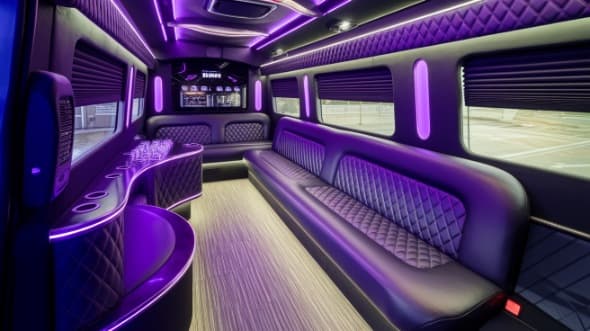 15-Passenger Sprinter Limo