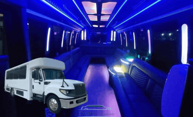 20-Passenger Party Bus