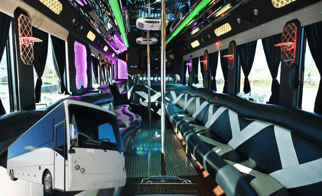46-Passenger Party Bus