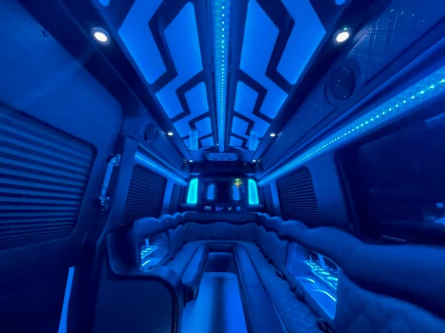 Gold 12-Passenger Sprinter Van