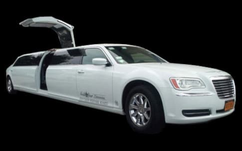 Pink 20-Passenger Stretch Limo