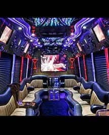 White 50-Passenger Party Bus