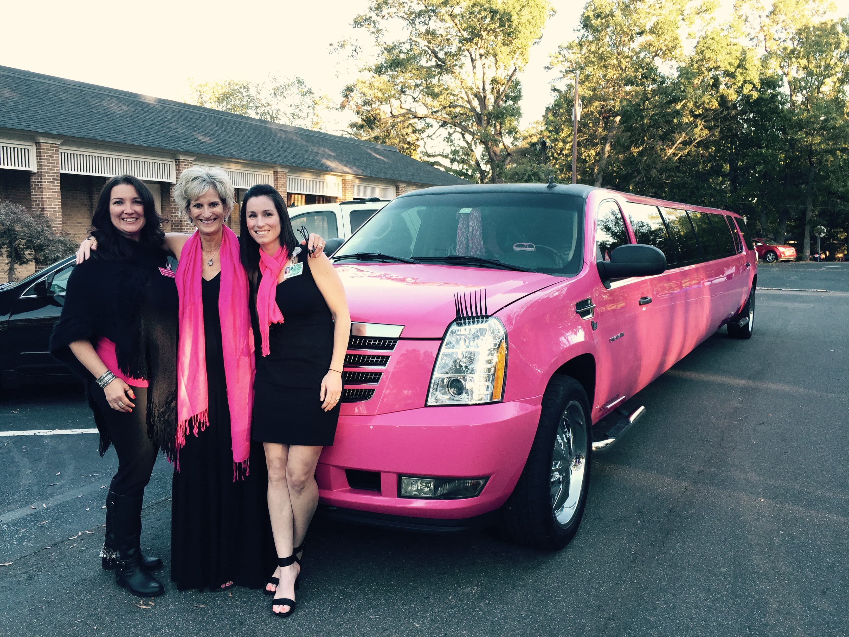Pink Limo Page 150x150
