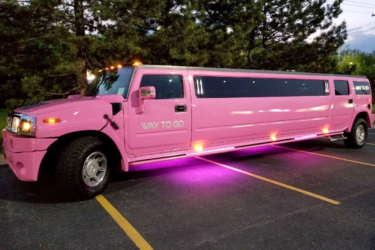 Bachelor Party 1