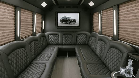 28-Passenger Party Bus