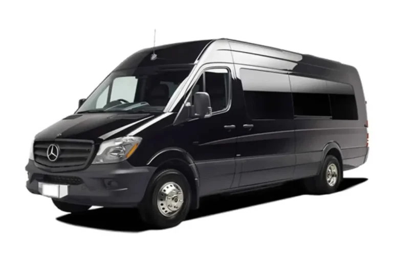 Black van with tinted windows on white background.