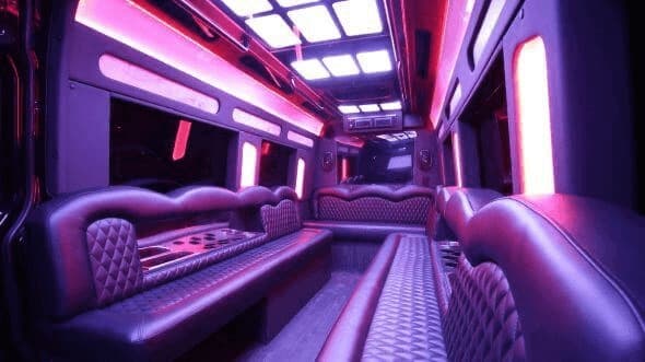 20-30 Passenger Party Bus