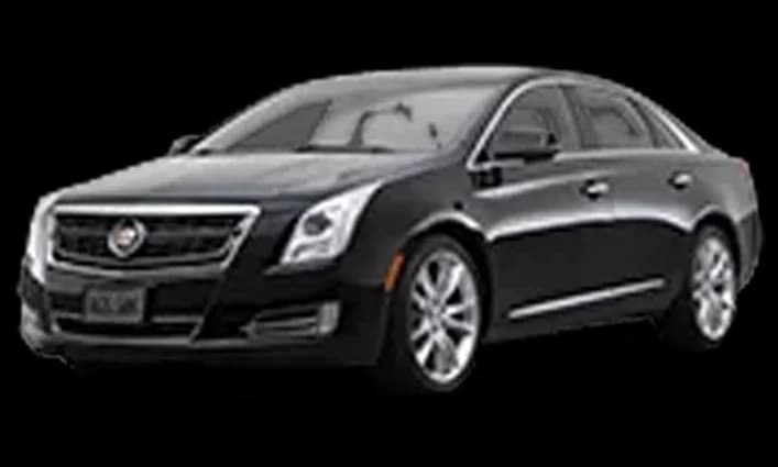 Stretch Limousine 10