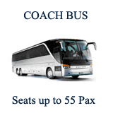 30-Passenger Party Bus