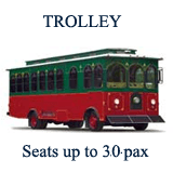 30-Passenger Party Bus