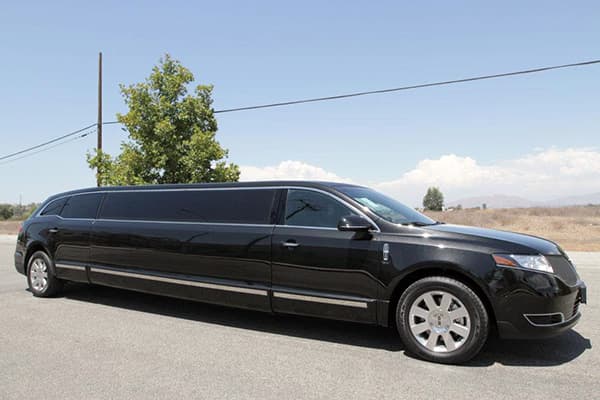 Party Bus Eslasvegas