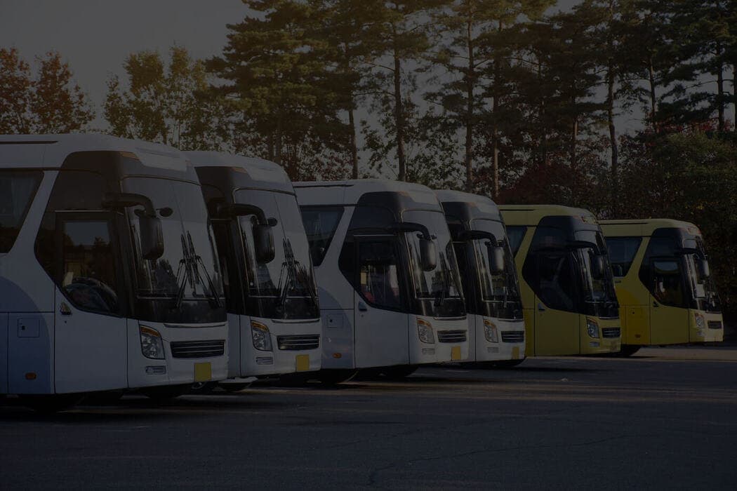 40-Passenger Party Bus