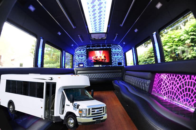 18-Passenger Party Bus