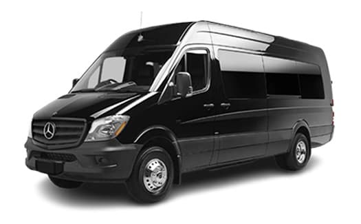 14-Passenger Sprinter Limo