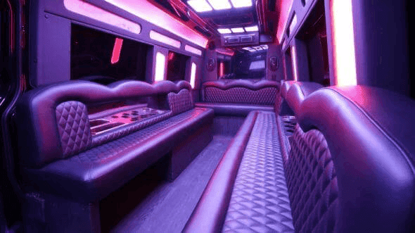 Pink 20-30 Passenger Party Bus