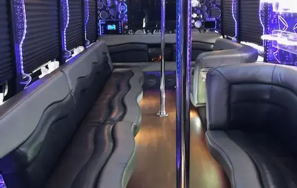 28-Passenger Party Bus