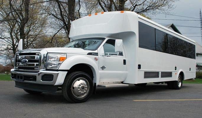 20-Passenger Party Bus