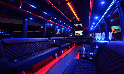 30-Passenger Party Bus