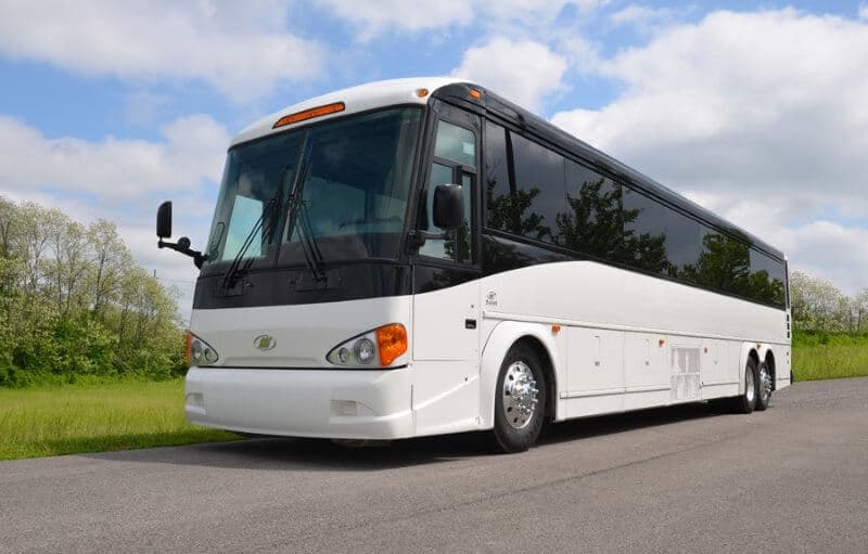Pink 10-Passenger Stretch Limousine