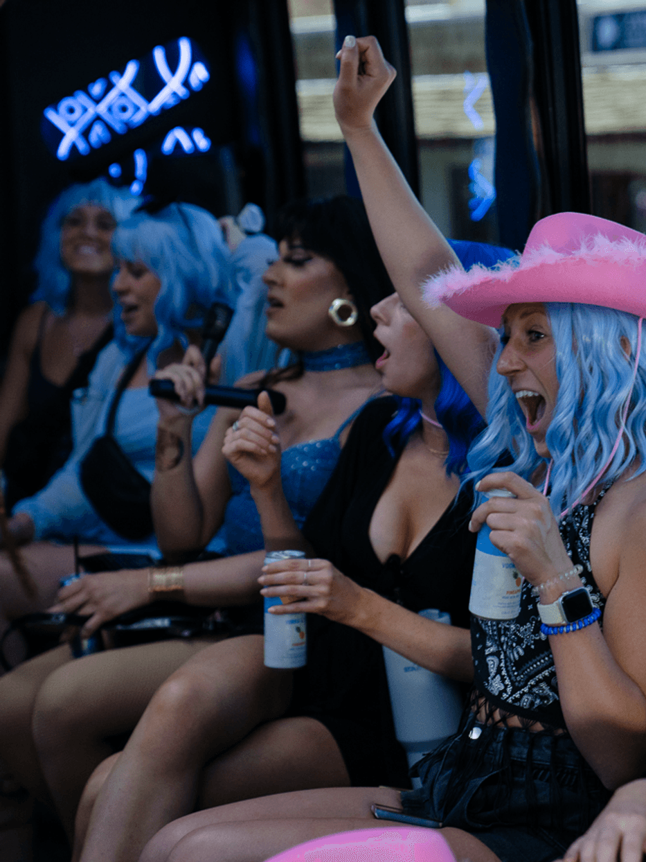 30-Passenger Party Bus