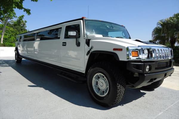 Pink 12-Passenger Stretch Limo
