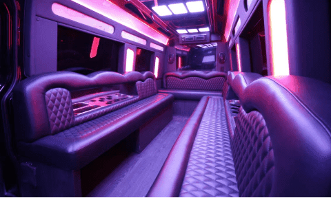 Pink 14-Passenger SUV Limo