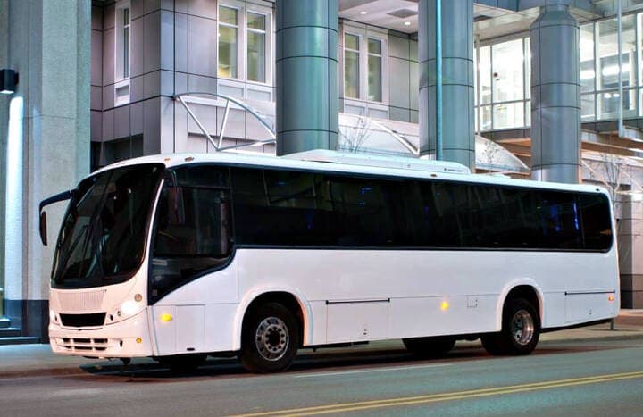 50-Passenger Party Bus