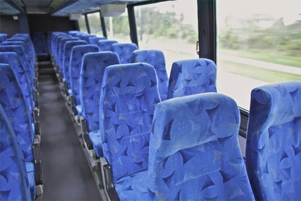 Pink 14-Passenger Party Bus